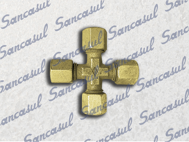 CRUZ ANILHADA 08