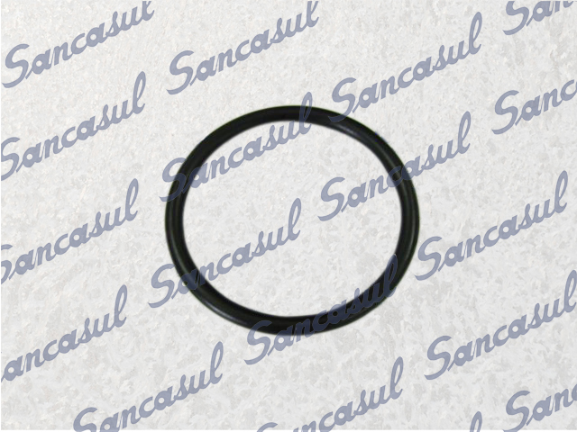 AN O-RING MAIOR SELO - 65