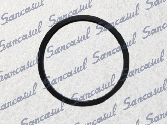 [PCSSAB3422983] ANEL BORRACHA FILTRO SUCÇÃO - 180
